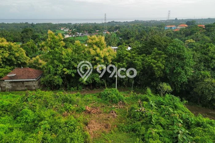 Tanah Dijual Lokasi Strategis di Buleleng dengan Luas 2950m2 Tanah Dijual Lokasi Strategis di Buleleng dengan Luas 2950m2