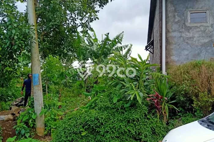 Dijual Tanah di Buleleng, Luas 1500m2 SHM Dijual Tanah di Buleleng, Luas 1500m2 SHM