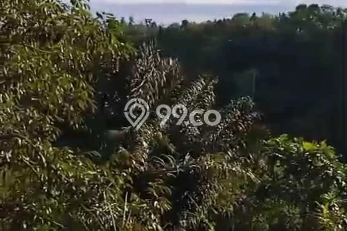 Lahan Dijual Lokasi Strategis di Gianyar dengan Luas 10000m2 Lahan Dijual Lokasi Strategis di Gianyar dengan Luas 10000m2
