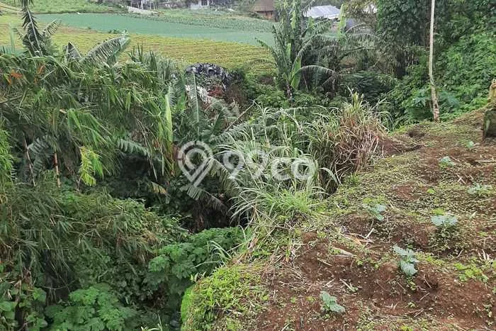 Dijual Tanah 1280m2 di Bedugul, Tabanan Dijual Tanah 1280m2 di Bedugul, Tabanan
