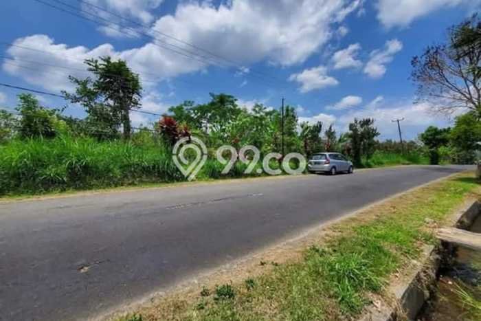 Kavling Tanah di Petang Dijual Luas 7700m2 Legalitas SHM Kavling Tanah di Petang Dijual Luas 7700m2 Legalitas SHM