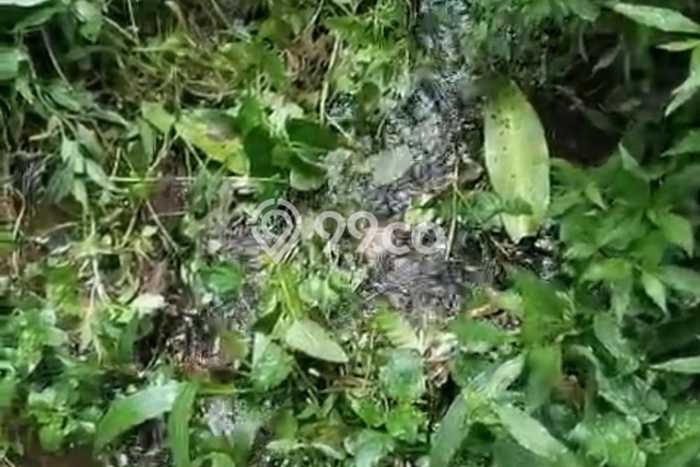Tanah Kavling Dijual di Buleleng dengan Spesifikasi 10000m2 Tanah Kavling Dijual di Buleleng dengan Spesifikasi 10000m2