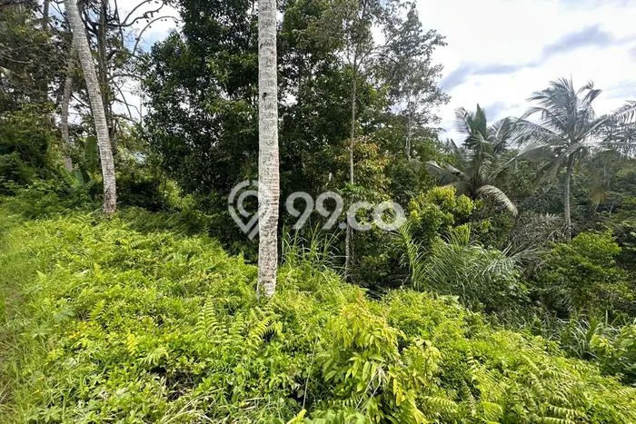Tanah Dijual Lokasi Strategis di Gianyar dengan Luas 4200m2 Tanah Dijual Lokasi Strategis di Gianyar dengan Luas 4200m2