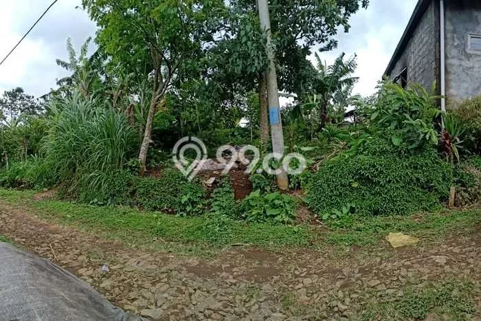 Dijual Tanah di Buleleng, Luas 1500m2 SHM Dijual Tanah di Buleleng, Luas 1500m2 SHM