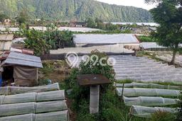 Tanah Kavling Dijual di Bedugul, Tabanan dengan Luas Tanah 2000m2 Tanah Kavling Dijual di Bedugul, Tabanan dengan Luas Tanah 2000m2