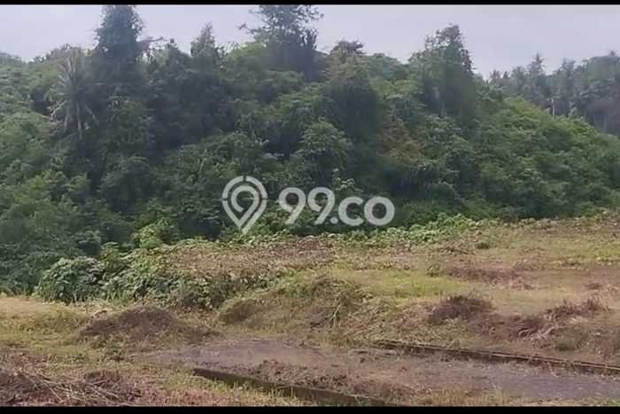 Tanah Dijual di Gianyar Seluas 4700m2 Strategis Tanah Dijual di Gianyar Seluas 4700m2 Strategis
