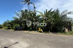 Tanah Dijual Area Strategis di Munggu Badung 1900m2 Tanah Dijual Area Strategis di Munggu Badung 1900m2