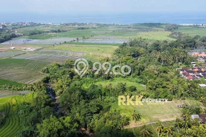 Dijual Tanah di Tabanan, Luas 3000m2 SHM Dijual Tanah di Tabanan, Luas 3000m2 SHM