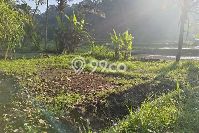 Dijual Tanah 12500m2 di Kenderan, Gianyar Dijual Tanah 12500m2 di Kenderan, Gianyar