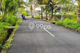 Tanah Kavling Dijual di Badung dengan Spesifikasi 2325m2 Tanah Kavling Dijual di Badung dengan Spesifikasi 2325m2