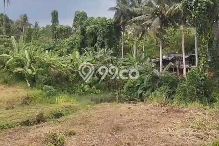 Tanah Dijual di Gianyar Seluas 4700m2 Strategis Tanah Dijual di Gianyar Seluas 4700m2 Strategis