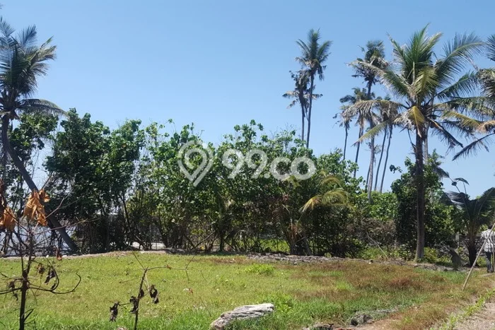 Tanah Dijual Area Strategis di Ketewel Gianyar 10000m2 Tanah Dijual Area Strategis di Ketewel Gianyar 10000m2