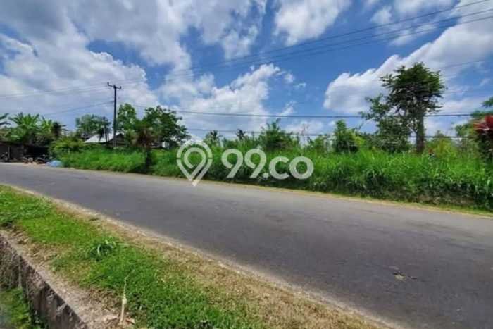 Kavling Tanah di Petang Dijual Luas 7700m2 Legalitas SHM Kavling Tanah di Petang Dijual Luas 7700m2 Legalitas SHM