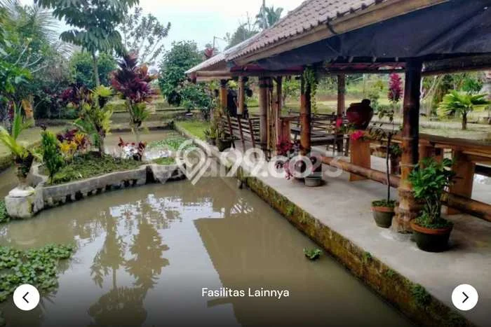 Tanah Dijual Area Strategis di Jatiluwih Tabanan 5000m2 Tanah Dijual Area Strategis di Jatiluwih Tabanan 5000m2