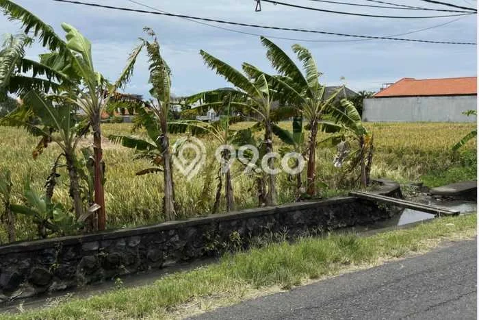 Dijual Tanah di Badung, Luas 3300m2 SHM Dijual Tanah di Badung, Luas 3300m2 SHM