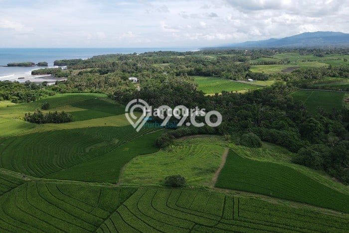 Kavling Tanah untuk Dijual di Klecung, Tabanan, Luas 11450m2 Kavling Tanah untuk Dijual di Klecung, Tabanan, Luas 11450m2