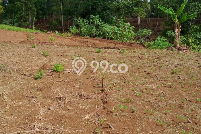 Dijual Tanah di Sukabumi, Luas 10600m2 SHM Dijual Tanah di Sukabumi, Luas 10600m2 SHM