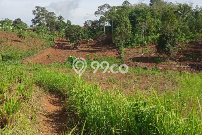 Dijual Tanah di Sukabumi, Luas 10600m2 SHM Dijual Tanah di Sukabumi, Luas 10600m2 SHM