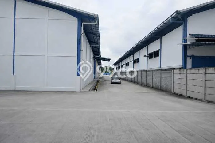 Disewakan Gudang Bisnis di Cikupa Tangerang Harga Sewa Menarik Bisa Nego Disewakan Gudang Bisnis di Cikupa Tangerang Harga Sewa Menarik Bisa Nego