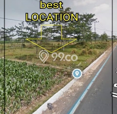 Tanah untuk Dijual Lokasi Bangil, Pasuruan Luas 5710m2 - Tanah untuk Dijual Lokasi Bangil, Pasuruan Luas 5710m2 -