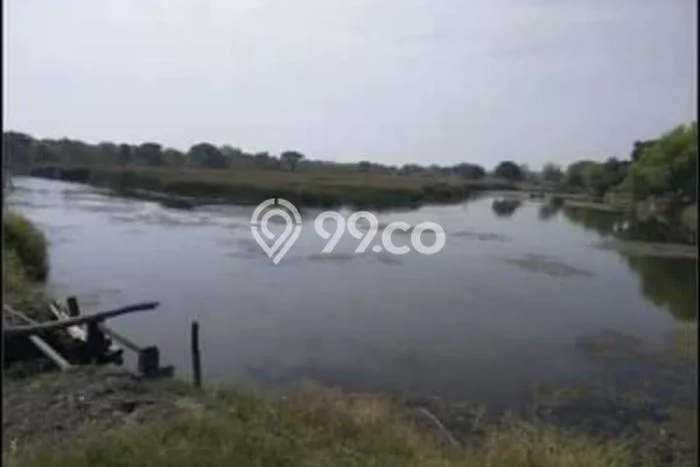 Tanah Dijual Lokasi Bangil, Pasuruan Luas 42950m2 Legalitas Aman Tanah Dijual Lokasi Bangil, Pasuruan Luas 42950m2 Legalitas Aman