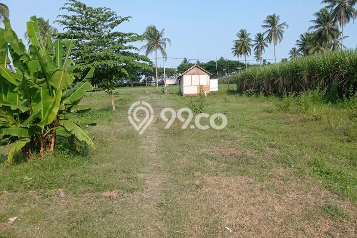 Lahan Dijual Lokasi Kepanjen, Malang dengan Luas Tanah 72m2 dan Status - Lahan Dijual Lokasi Kepanjen, Malang dengan Luas Tanah 72m2 dan Status -