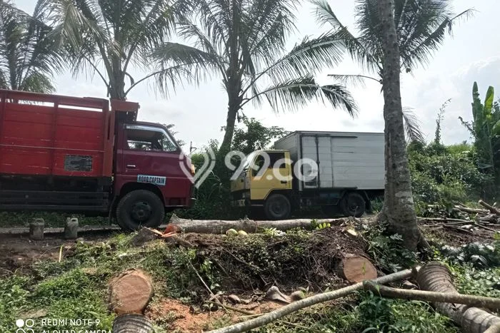 Tanah Komersial Dijual di Tajinan Malang 100m2 Tanah Komersial Dijual di Tajinan Malang 100m2
