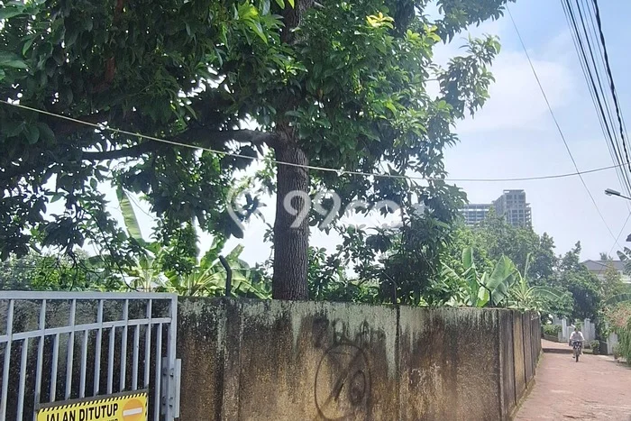 Tanah Dijual Lokasi Bogor Utara Bogor SHM Tanah Dijual Lokasi Bogor Utara Bogor SHM