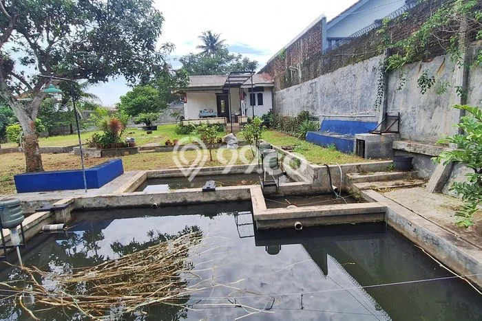 Dijual Rumah Bagus Siap Huni di Bogor Strategis Dijual Rumah Bagus Siap Huni di Bogor Strategis