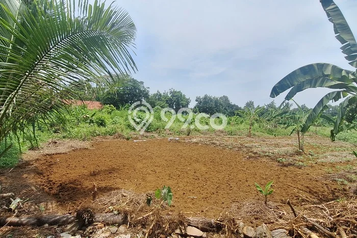 Tanah Dijual Lokasi Bogor Utara Bogor SHM Tanah Dijual Lokasi Bogor Utara Bogor SHM