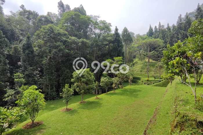 Tanah Dijual Lokasi Caringin, Bogor dengan Luas Tanah 7000m2 dan Status SHM Tanah Dijual Lokasi Caringin, Bogor dengan Luas Tanah 7000m2 dan Status SHM