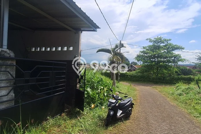 Dijual Rumah 3 Kamar Lokasi Ideal Nyaman dan Strategis di Bogor Utara Dijual Rumah 3 Kamar Lokasi Ideal Nyaman dan Strategis di Bogor Utara