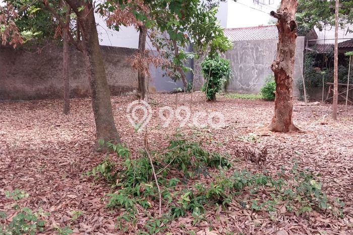Untuk Dijual Tanah di Jakarta Selatan, Luas 446m2 SHM Untuk Dijual Tanah di Jakarta Selatan, Luas 446m2 SHM