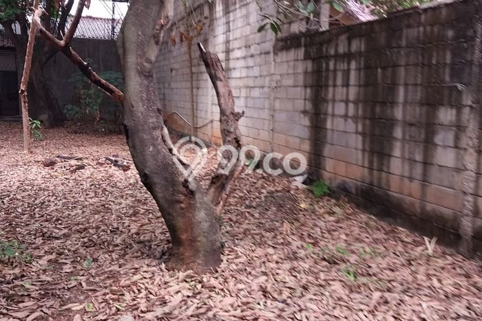 Untuk Dijual Tanah di Jakarta Selatan, Luas 446m2 SHM Untuk Dijual Tanah di Jakarta Selatan, Luas 446m2 SHM