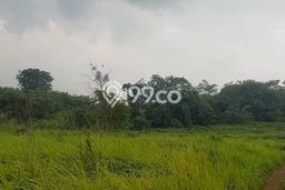 Kavling Tanah Dijual di Serang, Serang, Luas 17000m2 Area Strategis Kavling Tanah Dijual di Serang, Serang, Luas 17000m2 Area Strategis