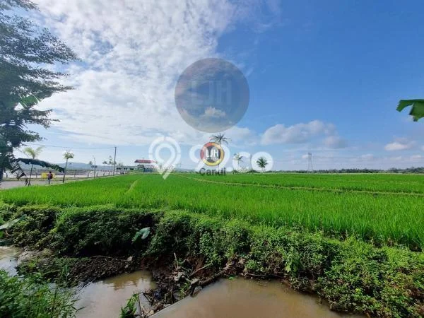 Dijual Tanah di Salatiga, Luas 4037m2 SHM Dijual Tanah di Salatiga, Luas 4037m2 SHM