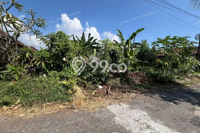 Dijual Tanah Area Berkembang di Seririt, Luas 405m², Akses Seririt, Buleleng, Buleleng Dijual Tanah Area Berkembang di Seririt, Luas 405m², Akses Seririt, Buleleng, Buleleng