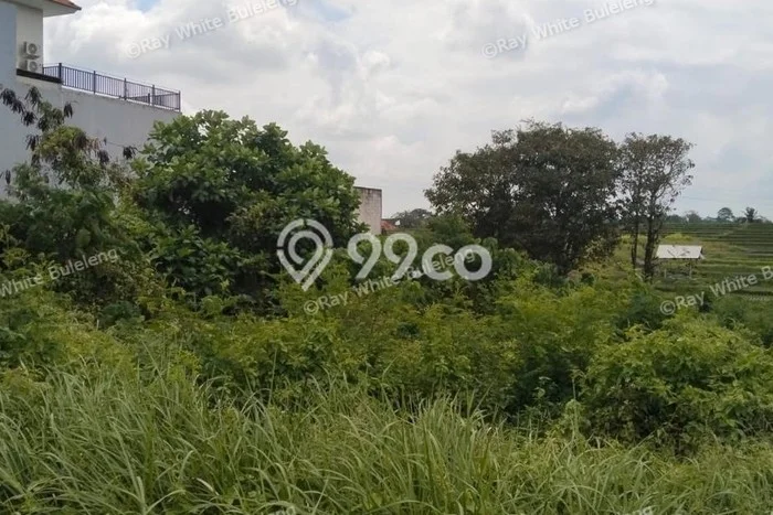 Tanah Area Berkembang di Canggu, Luas 2000m², Dekat ke Pusat Kota Tanah Area Berkembang di Canggu, Luas 2000m², Dekat ke Pusat Kota