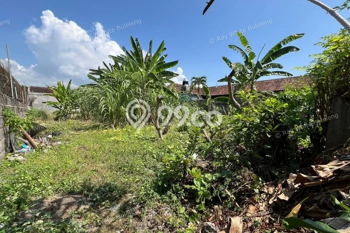 Dijual Tanah Area Berkembang di Seririt, Luas 405m², Akses Seririt, Buleleng, Buleleng Dijual Tanah Area Berkembang di Seririt, Luas 405m², Akses Seririt, Buleleng, Buleleng