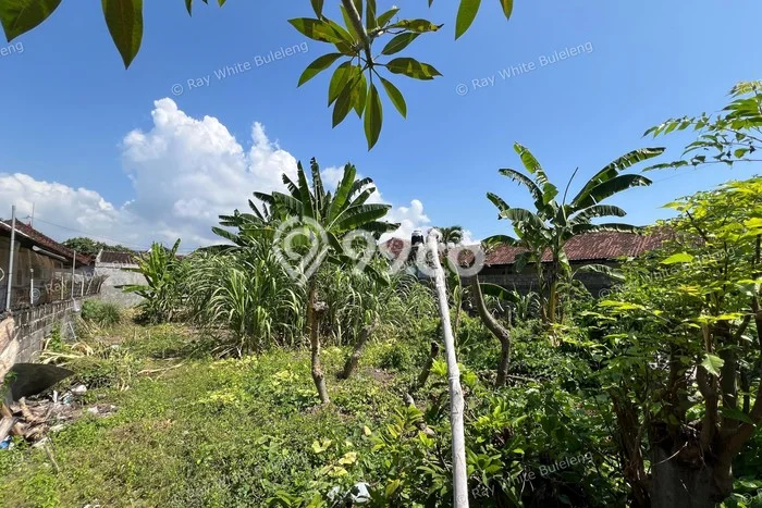 Dijual Tanah Area Berkembang di Seririt, Luas 405m², Akses Seririt, Buleleng, Buleleng Dijual Tanah Area Berkembang di Seririt, Luas 405m², Akses Seririt, Buleleng, Buleleng