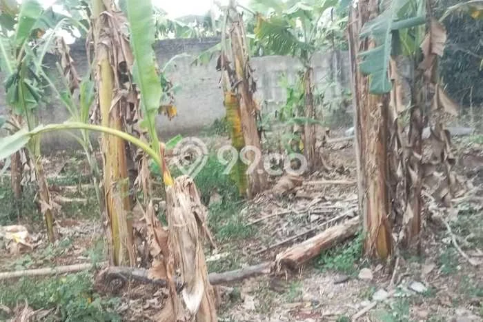 Kavling Tanah untuk Dijual di Bantar Gebang, Bekasi, Luas 1800m2 Kavling Tanah untuk Dijual di Bantar Gebang, Bekasi, Luas 1800m2