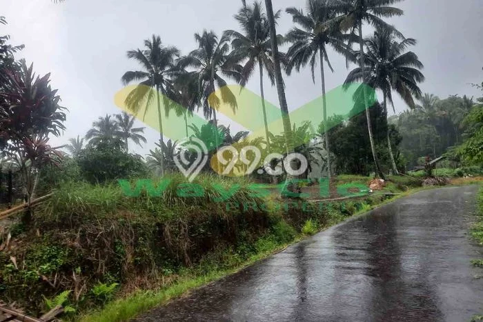 Kavling Tanah Dijual di Tomohon Utara Tomohon Spesifikasi 3200m2 Kavling Tanah Dijual di Tomohon Utara Tomohon Spesifikasi 3200m2