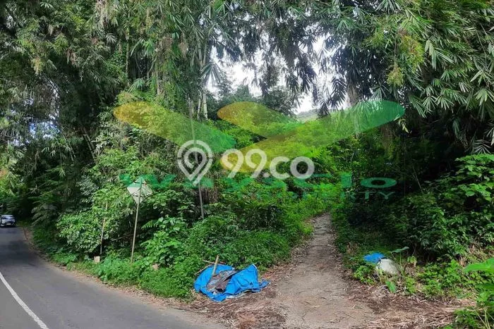 Kavling Tanah di Tomohon Timur Dijual Luas 5000m2 Legalitas SHM Kavling Tanah di Tomohon Timur Dijual Luas 5000m2 Legalitas SHM