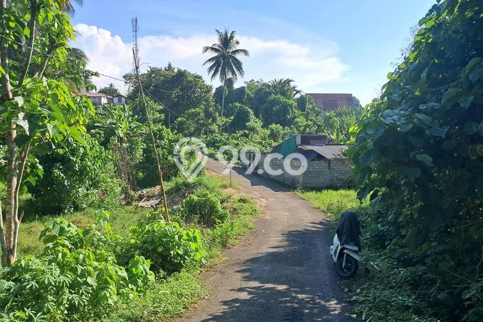 Jarang Ada! Tanah di Mapanget Punya Luas 352m2 SHM Jarang Ada! Tanah di Mapanget Punya Luas 352m2 SHM