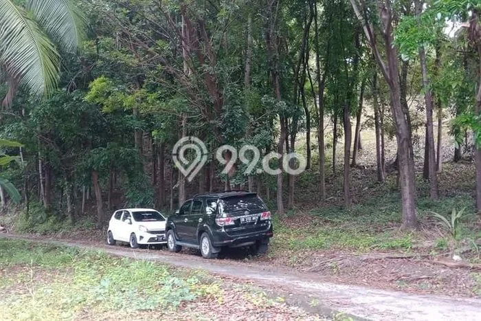 Dijual Tanah di Tombariri Minahasa Luas 10000m2 SHM Dijual Tanah di Tombariri Minahasa Luas 10000m2 SHM