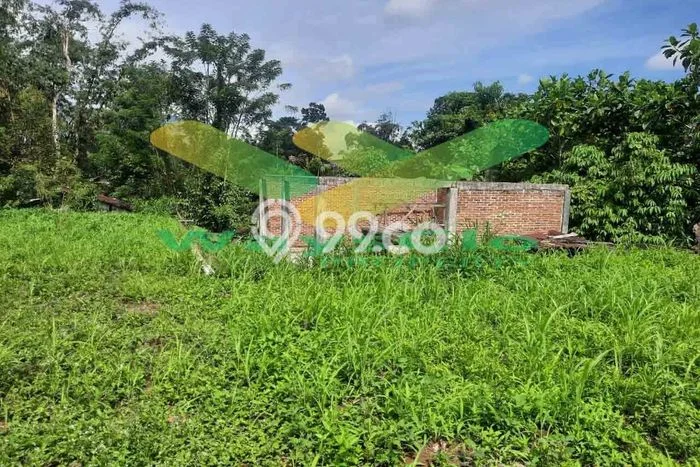 Tanah untuk Dijual di Tomohon Tengah Tomohon Luas 800m2 Tanah untuk Dijual di Tomohon Tengah Tomohon Luas 800m2