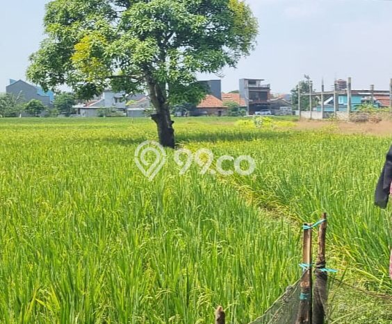 Dijual Tanah Area Berkembang Kawasan Cirebon Kota, Luas 1447m², Dekat Fasilitas Umum Dijual Tanah Area Berkembang Kawasan Cirebon Kota, Luas 1447m², Dekat Fasilitas Umum