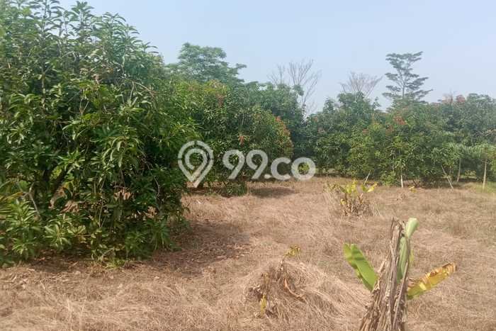 Tanah Strategis Dijual di Kertajati Majalengka 15000m2 Tanah Strategis Dijual di Kertajati Majalengka 15000m2