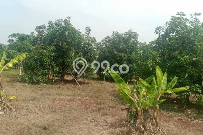 Tanah Strategis Dijual di Kertajati Majalengka 15000m2 Tanah Strategis Dijual di Kertajati Majalengka 15000m2