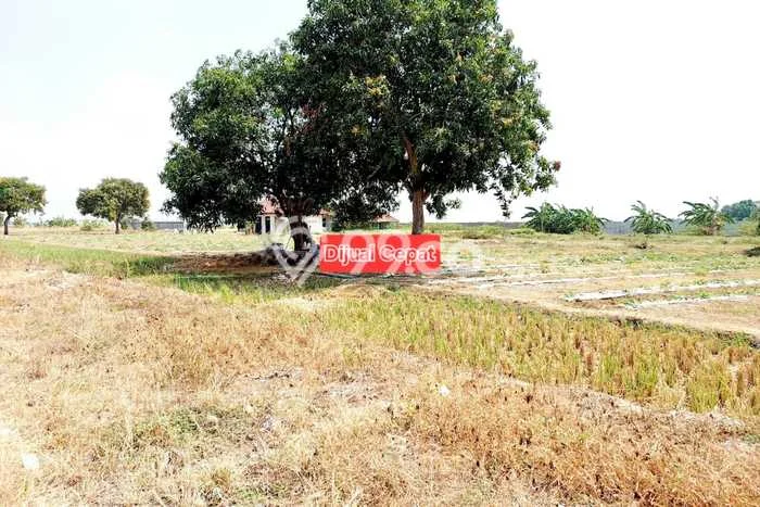 Tanah Dijual di Indramayu Seluas 12990m2 Strategis Tanah Dijual di Indramayu Seluas 12990m2 Strategis